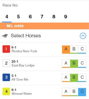 Select Horse
